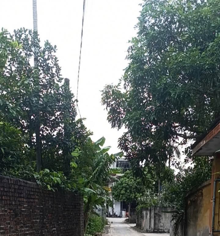 Đất nền Liên Mạc, Thanh Hà 168m² giá 1 tỷ - Sổ hồng chính chủ!