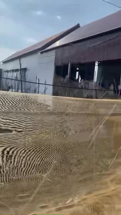 Đất nền chính chủ tại Liên Nghĩa, Đức Trọng 250m² giá chỉ 1.35 tỷ - Cơ hội đầu tư tuyệt vời!