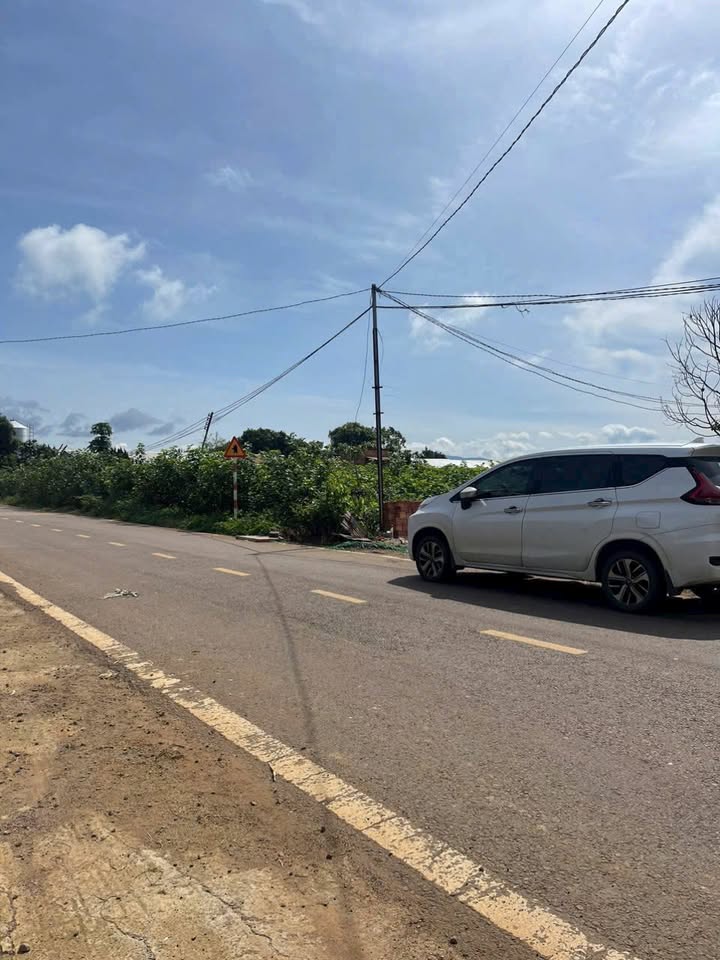 Đất nền Tân Hội, Đức Trọng 250m² giá 990 triệu - Mặt tiền đường nhựa, cơ hội đầu tư tốt!