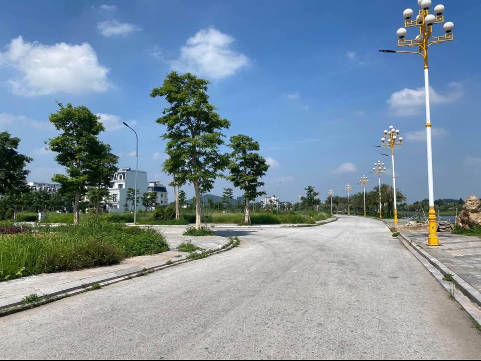 Biệt thự đơn lập Bắc Đầm Vạc Vĩnh Yên 300m² giá 16.8 tỷ - Hướng Đông, mặt tiền 15m