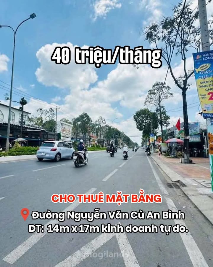 Mặt bằng kinh doanh Nguyễn Văn Cừ 238m² giá 40 triệu - Kinh doanh tự do ngay vị trí đắc địa!