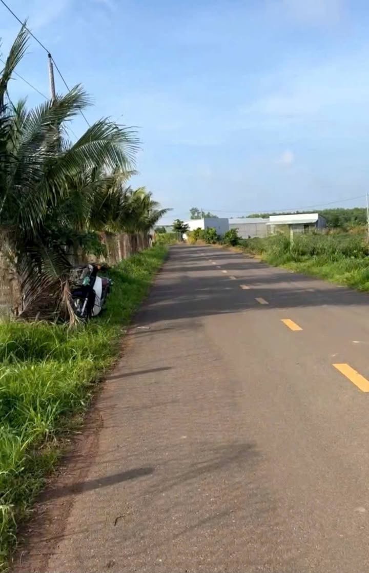 Đất nền Long Tân 300m² giá 730 triệu - Sổ đỏ chính chủ, không thể bỏ lỡ!