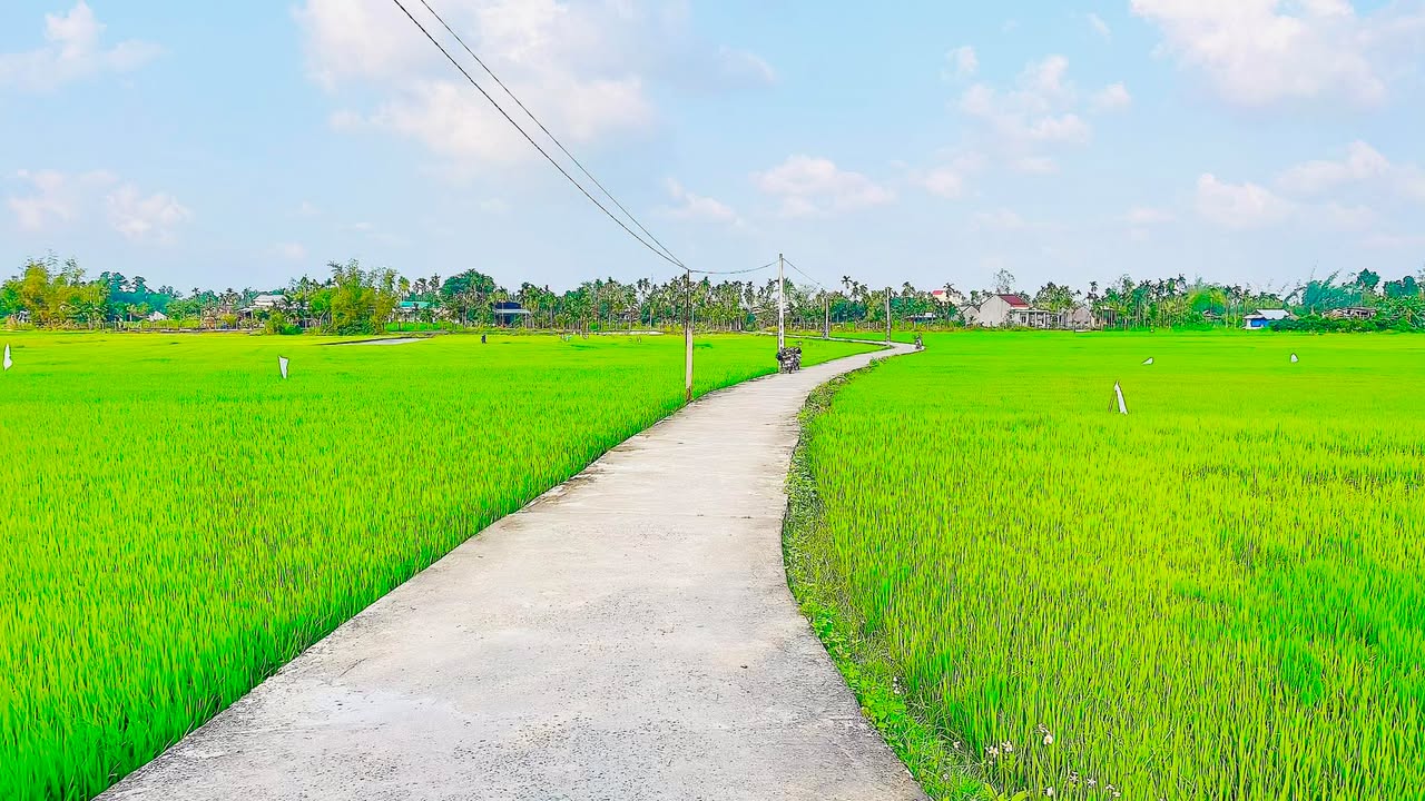 Bán vườn Tịnh Giang Sơn Tịnh 2500m² giá thỏa thuận - Tiềm năng đầu tư hấp dẫn!