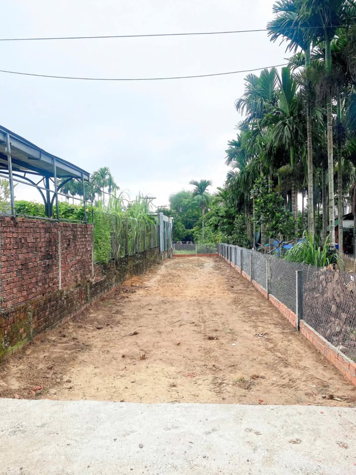 Đất nền xã Nghĩa Kỳ 175m² giá 400 triệu - Cơ hội đầu tư hiếm có!