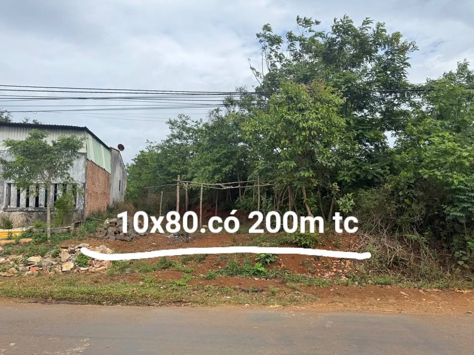 Đất nền mặt tiền Trương Định, An Phú, 800m² chỉ 1.8 tỷ - Đầu tư sinh lời!