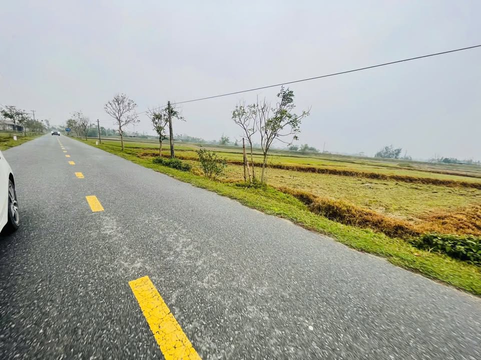 Đất mặt đường kinh doanh xã Thạch Thắng 200m² giá 1.75 tỷ - Đầu tư sinh lời ngay!