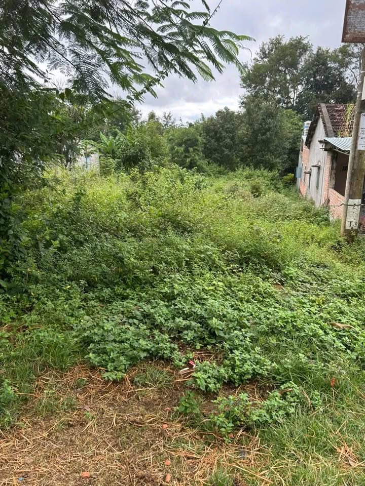 Đất nền 510m² tại Tỉnh Lộ 671, Đăk Rơ Wa, Kon Tum chỉ 500 triệu - Cơ hội đầu tư tuyệt vời!