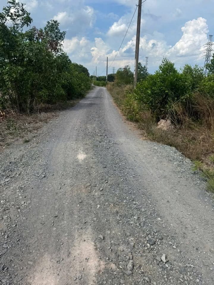 Đất vườn xã Long Tân 578m² giá thỏa thuận - Xe hơi tận đất