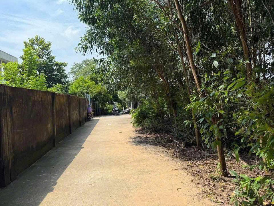 Nhà đang xây dựng tại ấp Bàu Bông, xã Phước An, 80m² - Giá chỉ 4xx triệu VND!