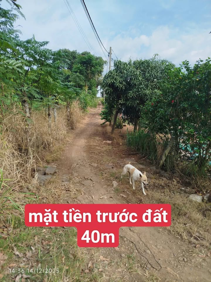 Đất thổ cư 200m² 2843m² tại Xuân Bảo, Cẩm Mỹ - Giá chỉ 700 triệu