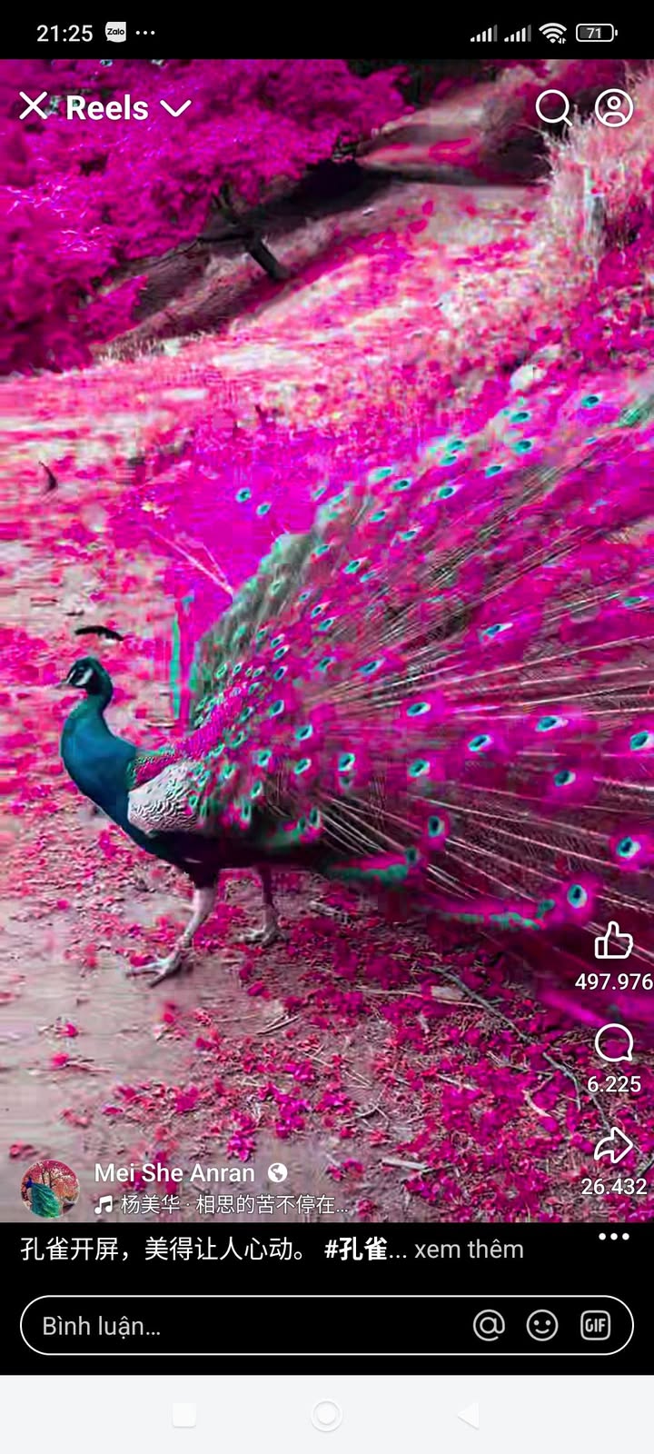 Đất thổ cư Phổ Thuận, Đức Phổ 132m² giá chỉ 200 triệu - Hướng Đông tài lộc!