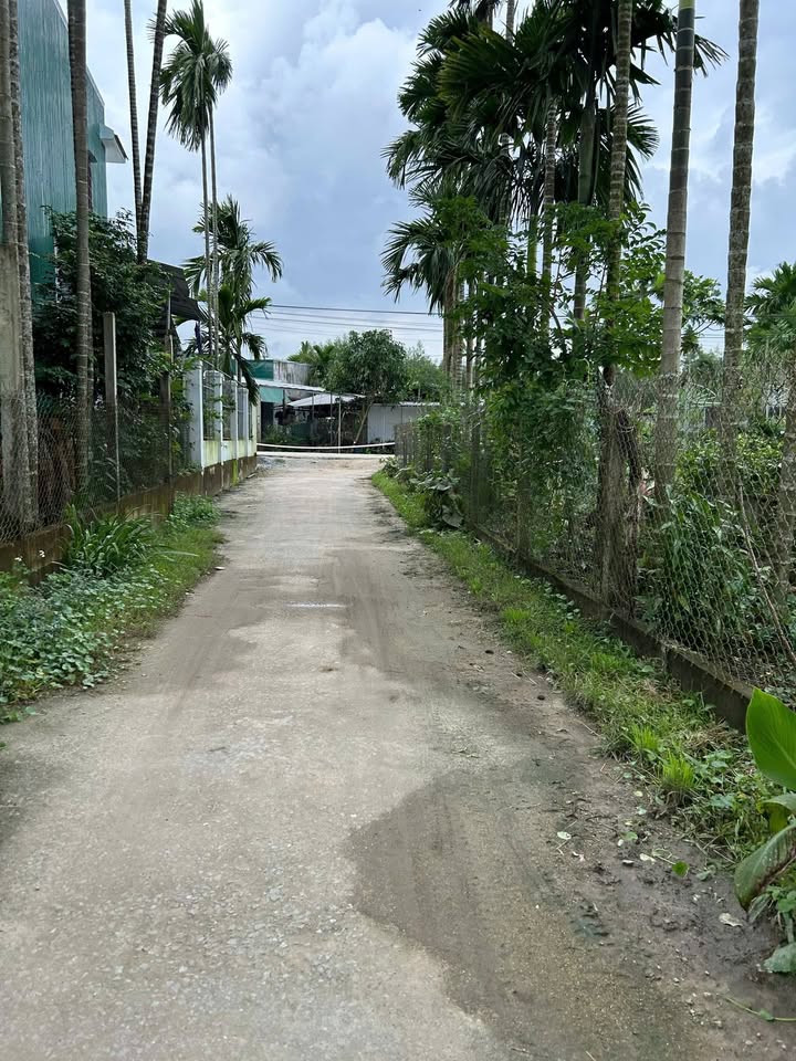 Đất nền Nghĩa Thuận 100m² giá 200 triệu - Sổ hồng chính chủ, thương lượng ngay!