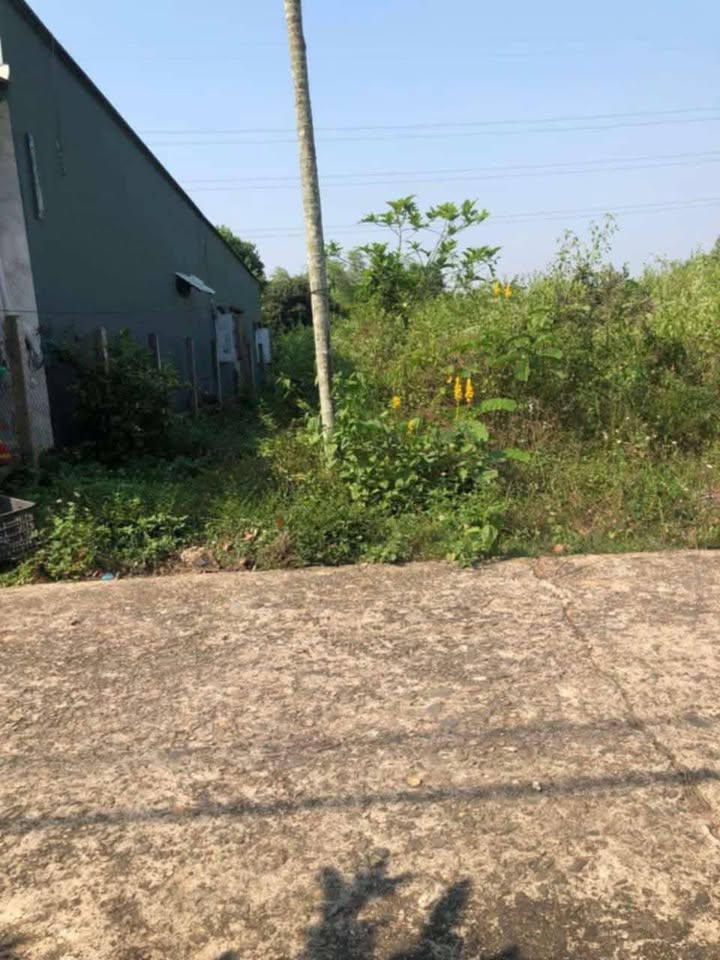 Đất nền Tam Đàn 110m² giá 600 triệu - View Hồ Sen tuyệt đẹp!