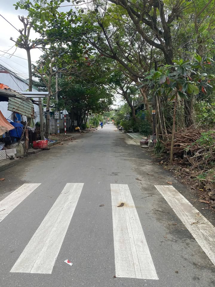 Đất mặt tiền Bế Văn Đàn, Thanh Hà, Hội An 98.7m² giá 2 tỷ - Cơ hội đầu tư hấp dẫn!