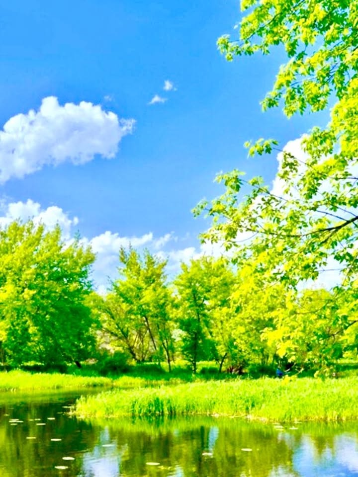 Nhà mặt phố Hai Bà Trưng Hội An 127.8m² giá 19 tỷ - Đầu tư sinh lời ổn định!