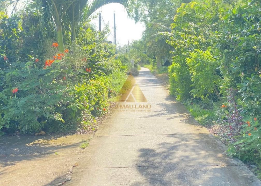 Đất K6 phường 8 Cà Mau 600m² giá 1 tỷ - Cơ hội đầu tư tuyệt vời!