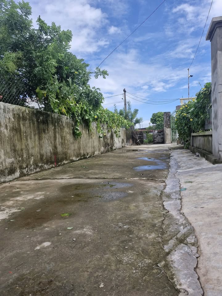 Nhà riêng Nam Thanh, Tiền Hải 86m² giá chỉ 500 triệu - Ô tô quay đầu thuận tiện!