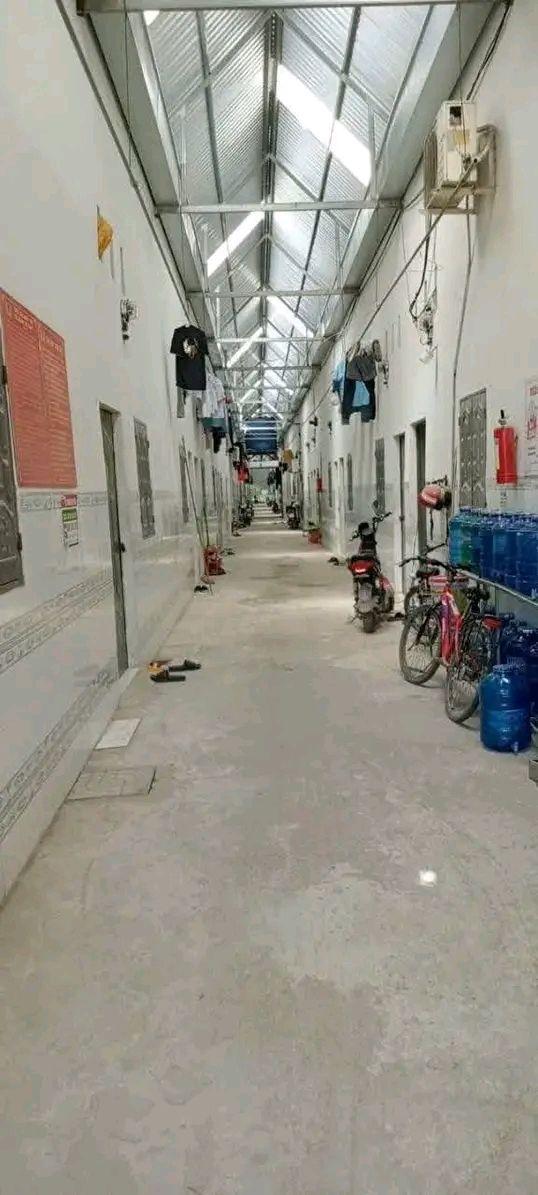 Cặp trọ 50 phòng phường Hội Nghĩa, Tân Uyên 1268m² giá 13 tỷ - Đầu tư sinh lời hấp dẫn!