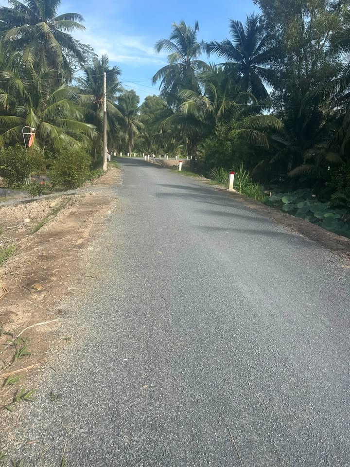 Đất nền Trung Thành Tây, Vũng Liêm, Vĩnh Long 145m² giá 279 triệu - Đầu tư siêu lợi nhuận!