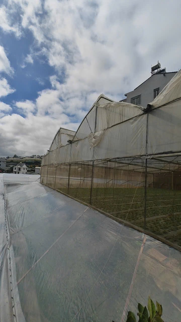 Đất nền Cam Ly Đà Lạt 752m² giá 12.79 tỷ - Đầu tư sinh lời tiềm năng!