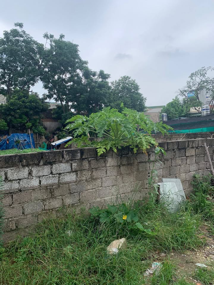 Lô đất biệt thự phường Đông Hương 250.6m² giá 11 tỷ - Cơ hội đầu tư tuyệt vời!