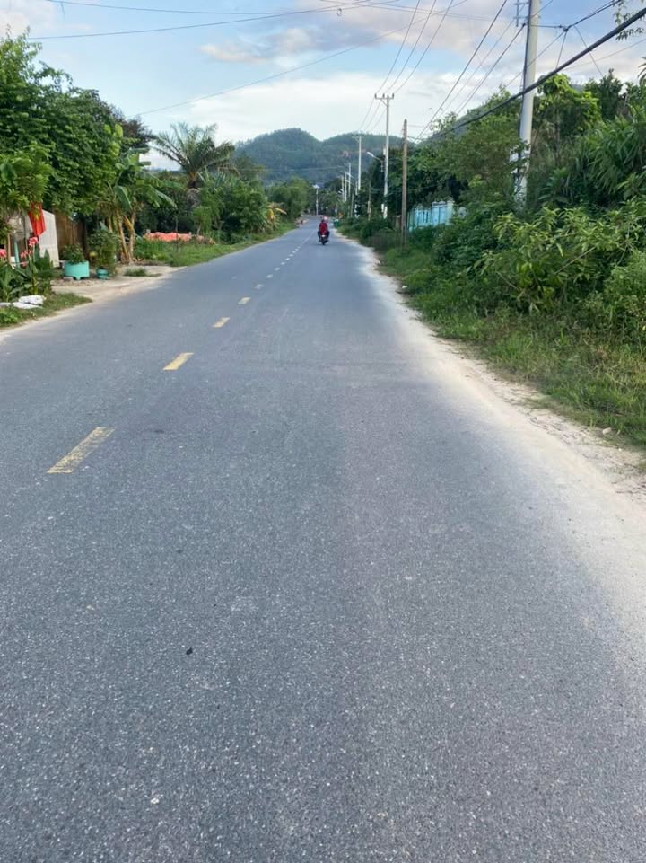 Đất nền Hòa Ninh 530m² giá 5 tỷ - Phù hợp làm nhà vườn hoặc xưởng