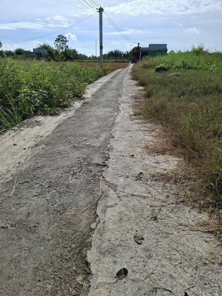 Đất thổ cư Tân Đông Gò Công Đông 162m² chỉ 230 triệu - Cơ hội vàng cho nhà đầu tư!