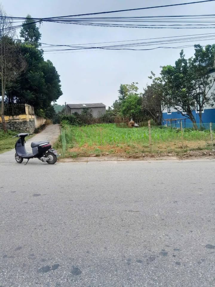 Đất mặt đường Thái Long, Tuyên Quang 145m² giá 1.1 tỷ - Pháp lý rõ ràng, sẵn sàng công chứng!