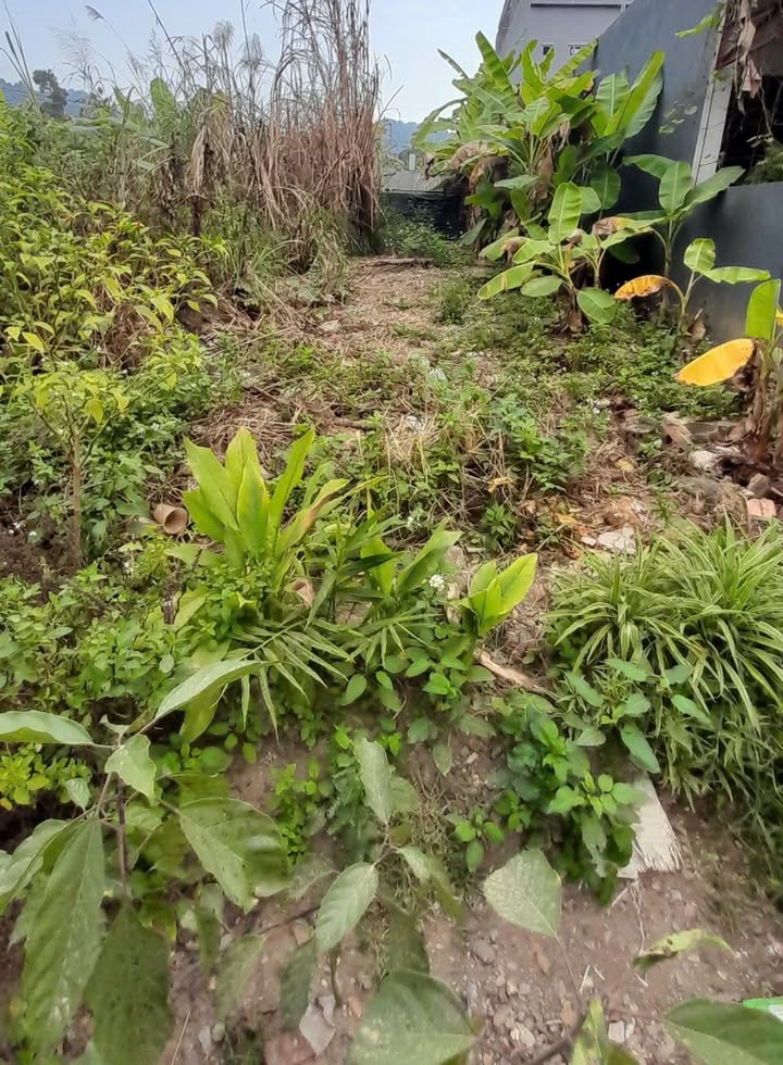 Lô đất N5 Vạn Hoà 138m² giá 2.2 tỷ - Đầu tư sinh lời ngay!