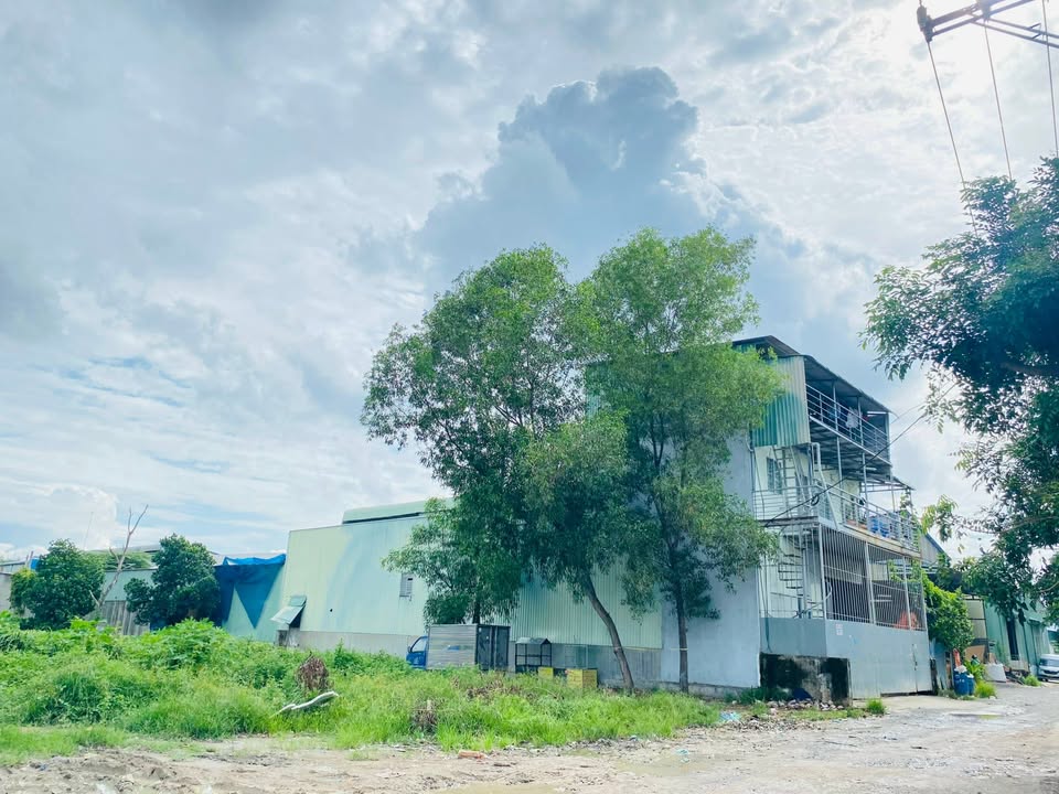 Nhà xưởng chính chủ tại Bình Chuẩn, Thuận An 305m² giá 5.4 tỷ - Cơ hội đầu tư hấp dẫn!