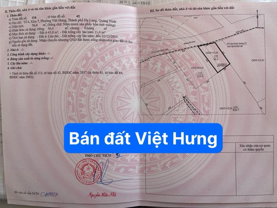 Đất nền Ngõ 5, phường Việt Hưng, Hạ Long 56m² - Giá cả thương lượng, cơ hội đầu tư tốt!