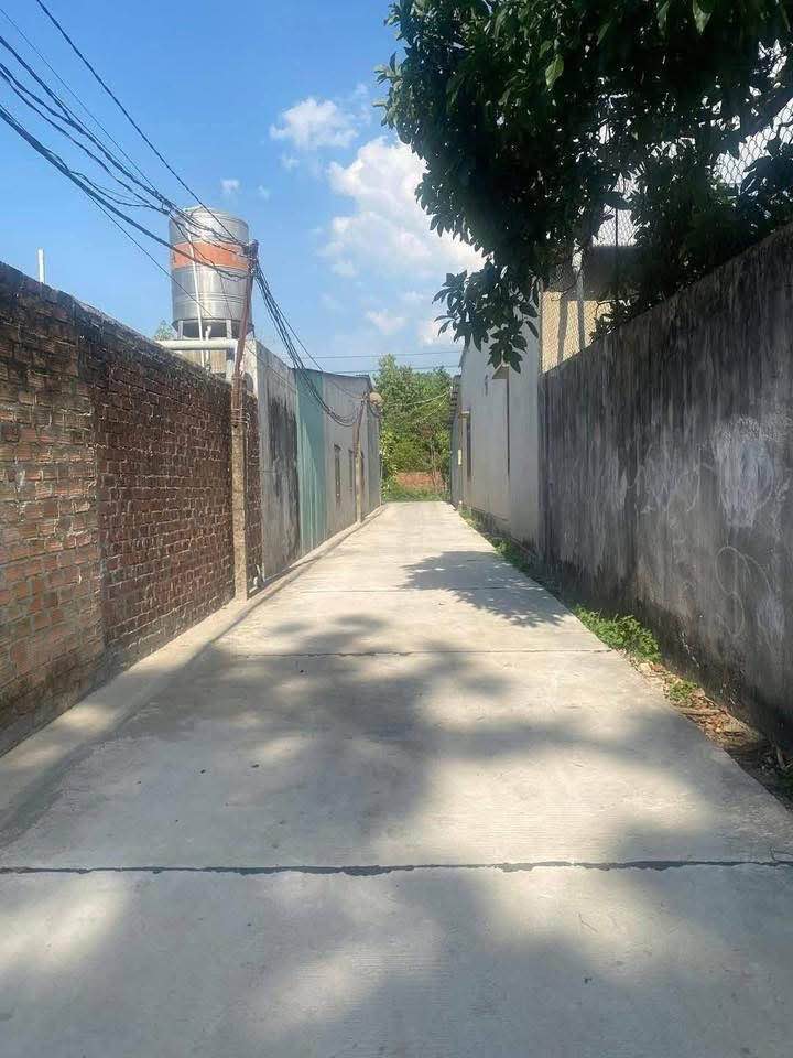 Đất thổ cư 250m² tại Thôn 8 Đăk Cấm - Giá chỉ 400 triệu, cơ hội đầu tư tuyệt vời!