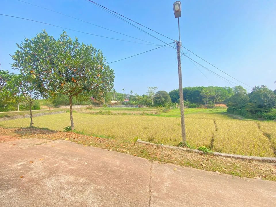 Đất nền 2 mặt tiền 442m² tại Tân Thành, Thái Nguyên - Giá chỉ 450 triệu!