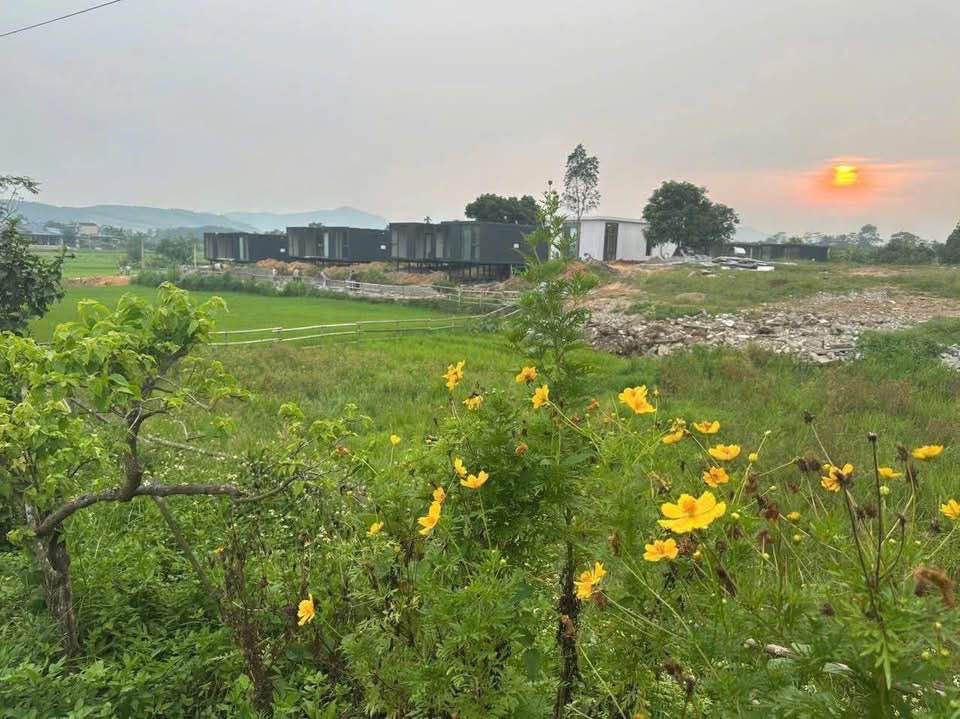 Đất nông nghiệp Vô Tranh 1.600m² giá 550 triệu - Cơ hội đầu tư hiếm có!