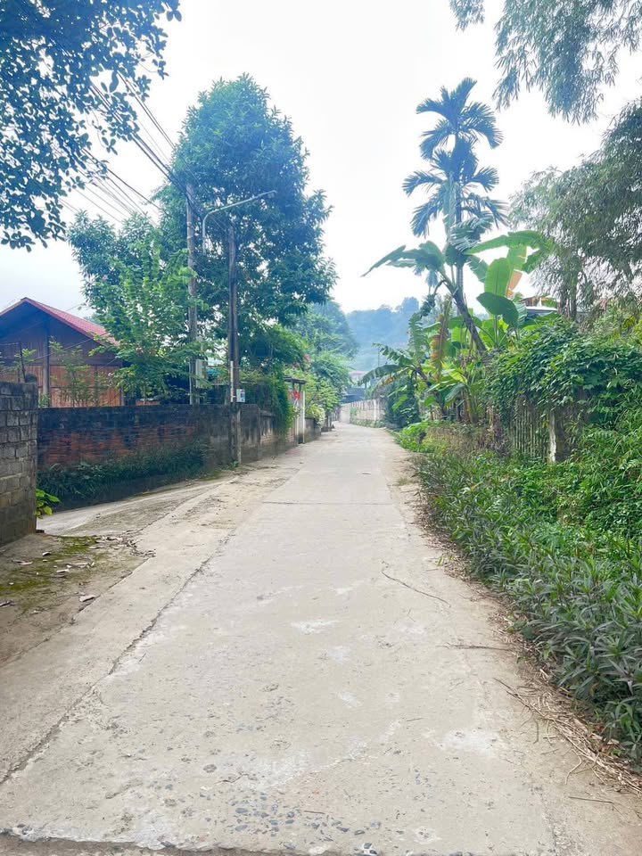 Lô đất 1000m² giá 1.55 tỷ tại Cam Đường - Đầu tư sinh lời hấp dẫn!