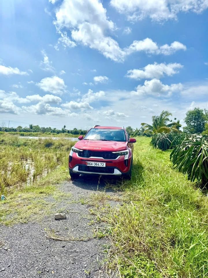 Đất nền Hàm Liêm 1243m² giá 350 triệu - Tiềm năng đầu tư lớn!