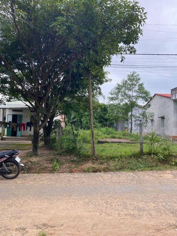 Đất thổ cư thôn 6 Đoàn Kết 200m² giá chỉ 2xx triệu - Đầu tư sinh lời!