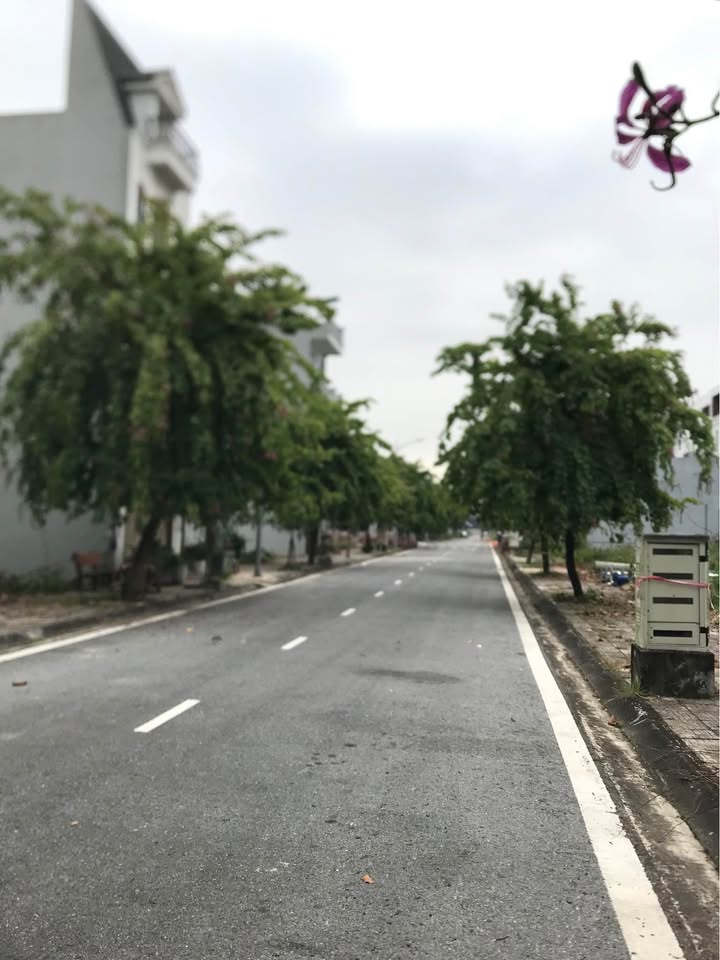 Đất nền Khu đô thị Kỳ Đồng, Trần Hưng Đạo, 56m² giá 2 tỷ - Đầu tư sinh lời ngay!