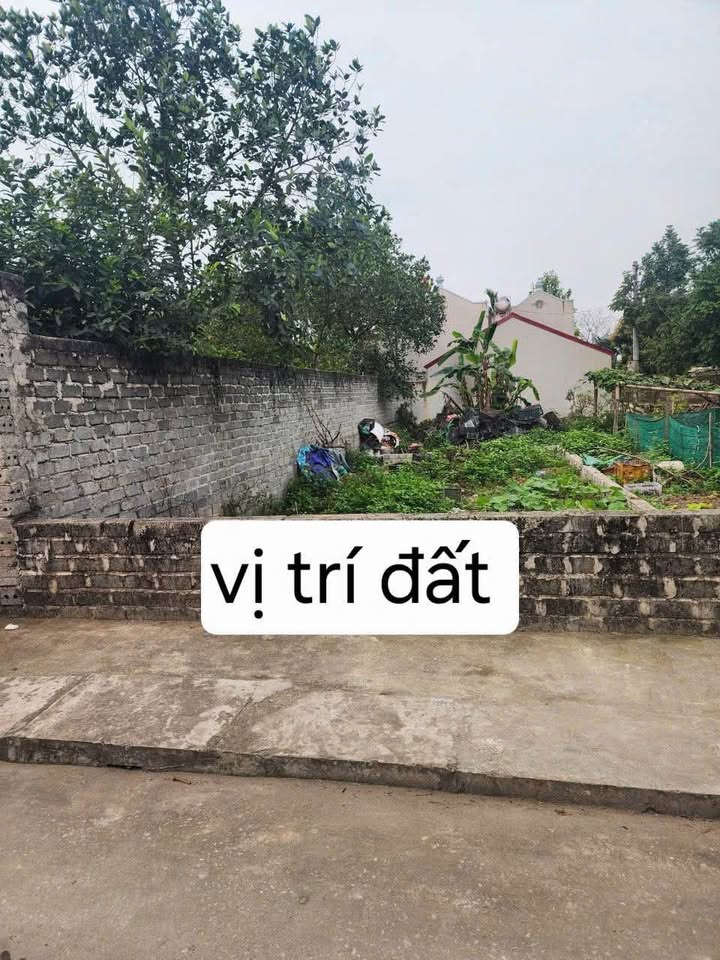 Đất thổ cư thôn Hòa Ngãi, Thanh Hà 64m² giá 1 tỷ - Đầu tư sinh lời bền vững!