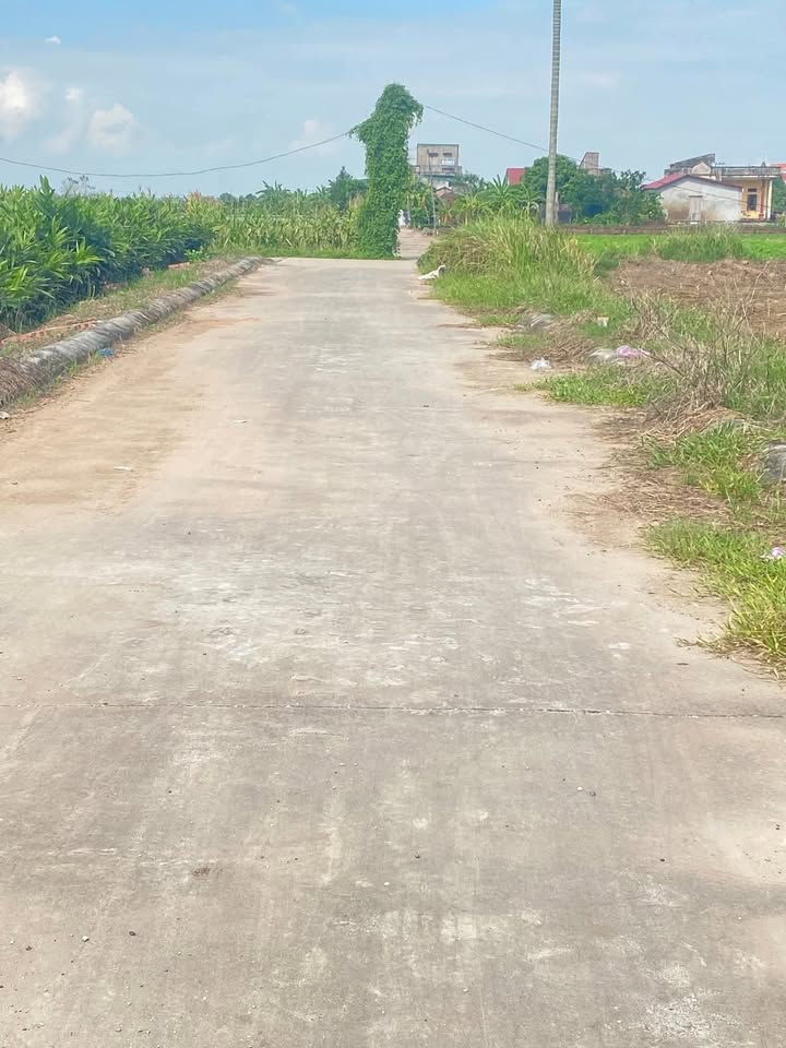 Đất nền Minh Tân, Lương Tài 96m² - Đầu tư sinh lời ngay!