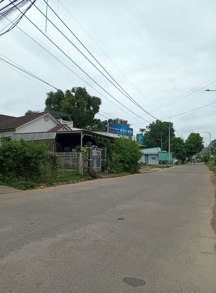 Đất nền 2ha mặt tiền đường Búng Gội giá 110 tỷ - Phù hợp làm resort!