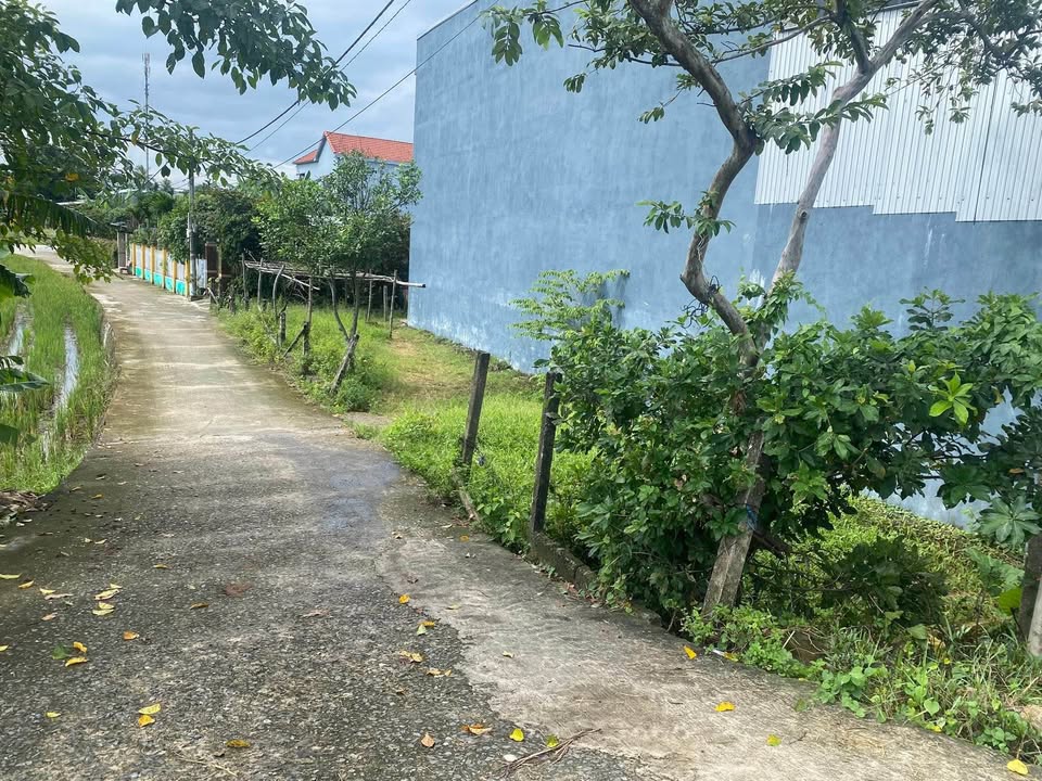 Đất nền Hòa Phong Đà Nẵng 110m² giá 2.5 tỷ - Sổ hồng chính chủ, đầu tư sinh lời!