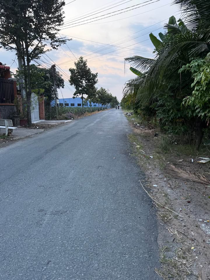 Đất thổ cư Tân An 65m² giá 670 triệu - Đầu tư sinh lời ngay!