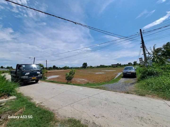 Đất lúa 2000m² tại Bình Thạnh, Thủ Thừa, Long An - Chính chủ bán giá tốt!