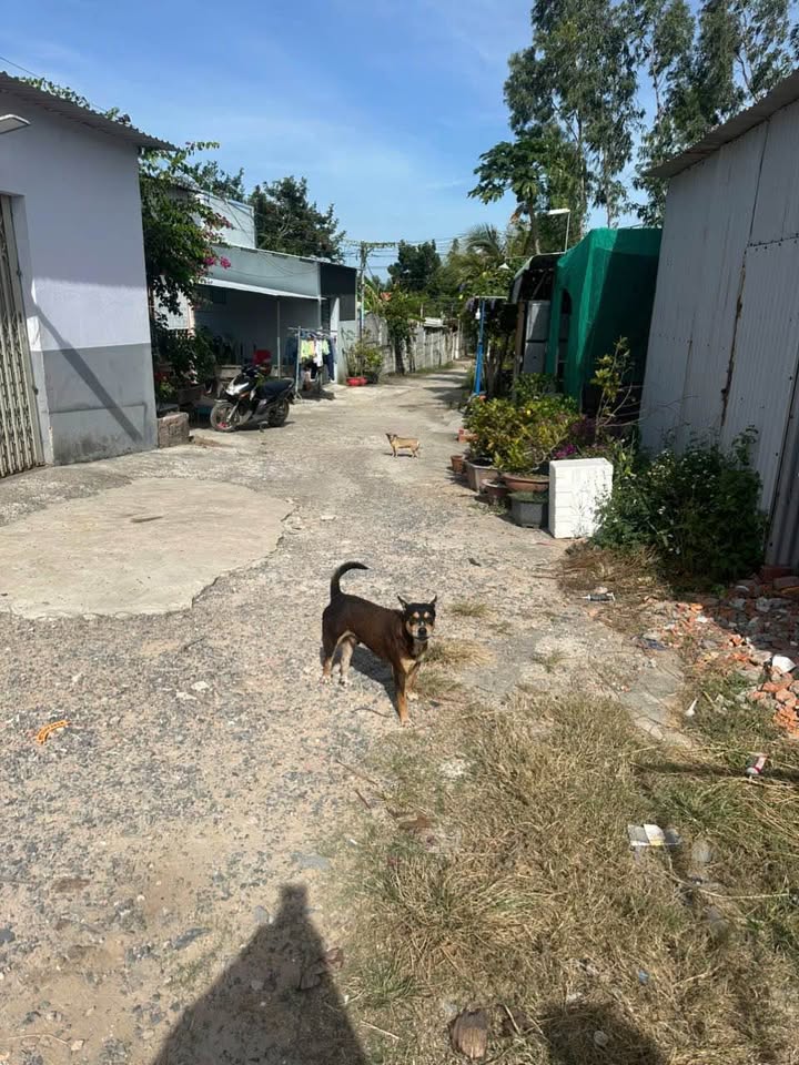 Nhà riêng đường Trương Văn Ly Đức Long 71m² giá chỉ 260 triệu - Cơ hội đầu tư tốt!