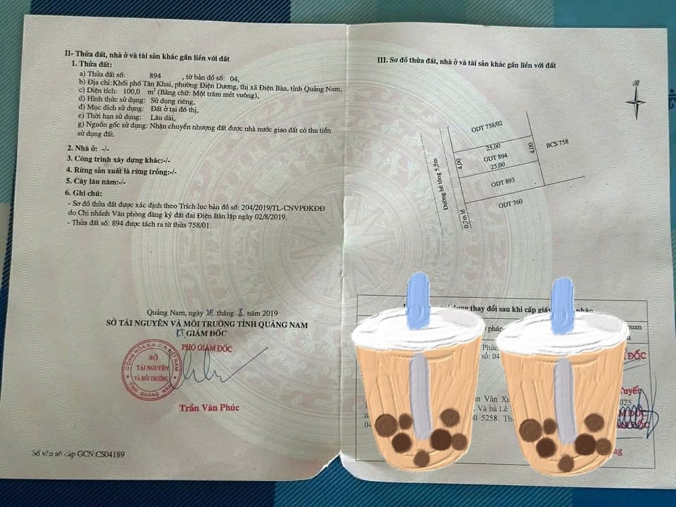 Đất nền Điện Dương 100m² giá chỉ 2.05 tỷ - Cơ hội đầu tư tuyệt vời!