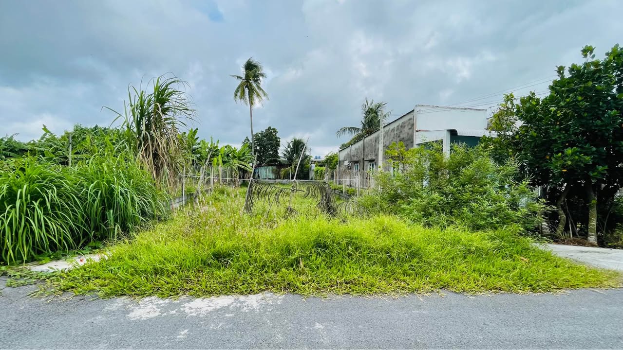 Đất thổ cư mặt tiền đường nhựa Phước Vĩnh An, Củ Chi 212m² - Sổ hồng riêng, giá thỏa thuận!