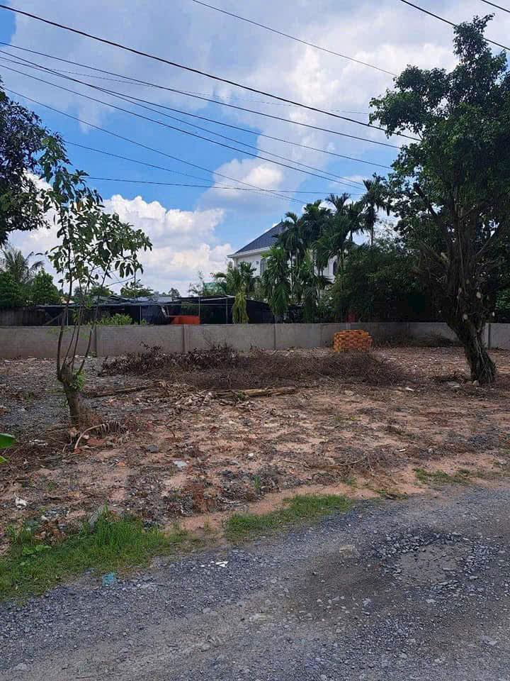 Đất thổ cư Bình Mỹ, Củ Chi 100m² giá 2.45 tỷ - Mặt tiền kênh thoáng mát!