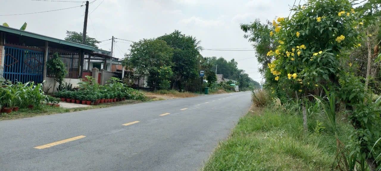 Đất nền mặt tiền đường Nguyễn Thị Rành, Phú Mỹ Hưng, Củ Chi 984m² - Giá tốt chỉ 8 tỷ!