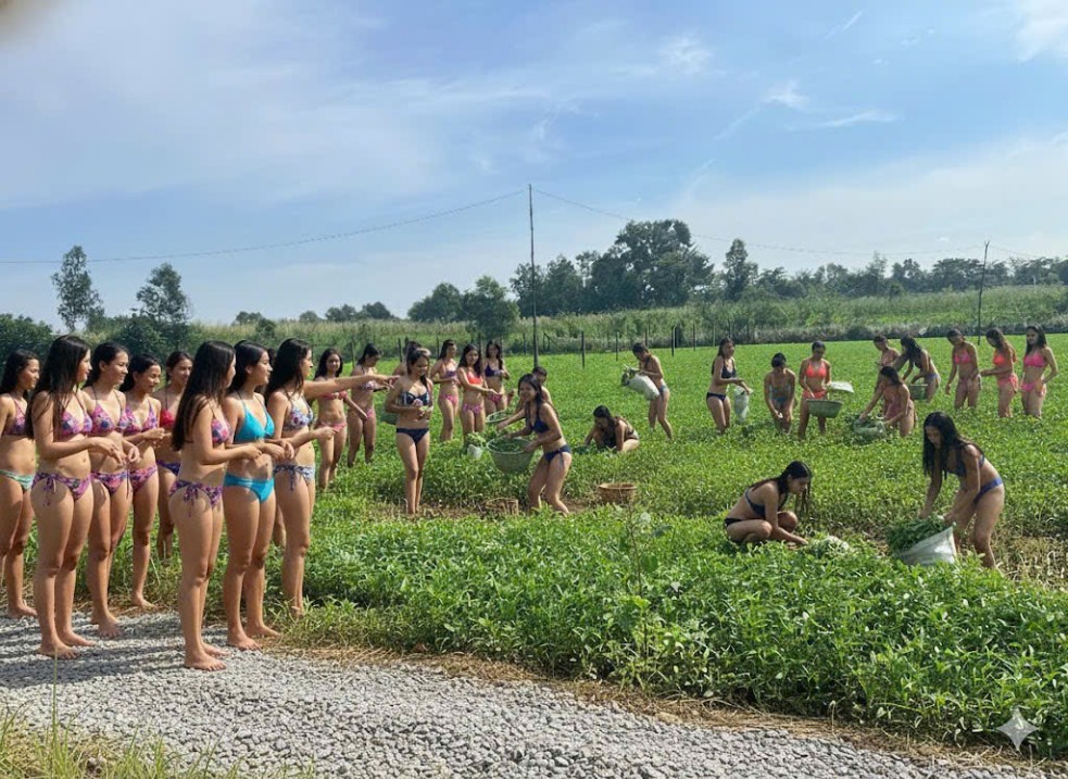 Đất vườn 500m² xã Trung Lập Thượng, Củ Chi - Giá chỉ 1 tỷ VND!